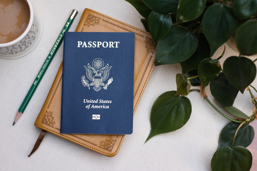 Organized passport documents and visa stamps